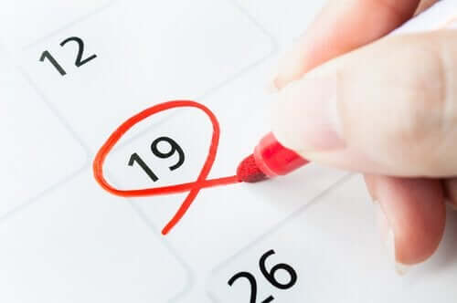 Semaine 19 de grossesse: développement du bébé