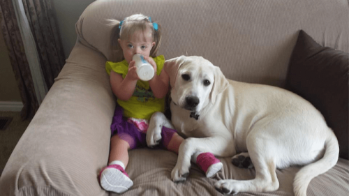 L'histoire de Sadie, la petite fille atteinte du syndrome de Down et du chien qui s'occupe d'elle