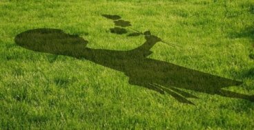 Ce que la nature enseigne à votre enfant