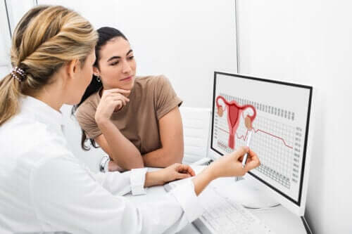 Quel est le processus de l'ovulation ?