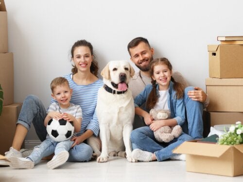 Comment préparer votre enfant au déménagement