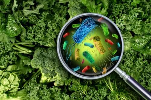Comment prévenir les intoxications alimentaires pendant la grossesse?