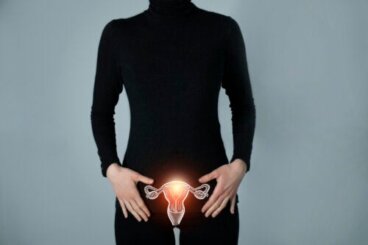 Que sont les trompes de Fallope ?