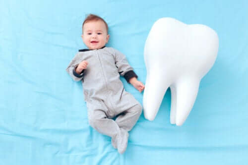 Quelques curiosités sur les dents de lait