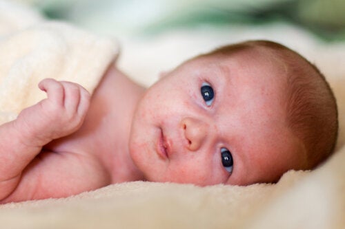 Éruptions cutanées du bébé : ce qu’il faut savoir