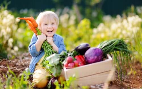 Concept de manger végétalien végétarien non omnivore enfant sélectionne la récolte de légumes dans un jardin vert à l'extérieur des tomates carottes brouette aubergine