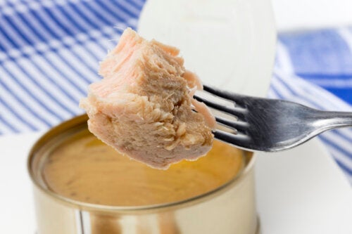 Peut-on manger du thon pendant la grossesse?