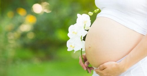 Peut-on tomber enceinte sans ovuler ?