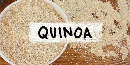 4 recettes avec du quinoa pour les enfants