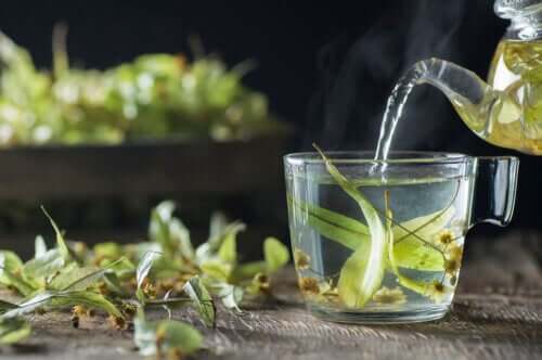 Peut-on boire du tilleul pendant la grossesse ?