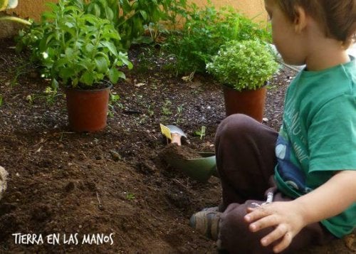 Agriculture préscolaire: Apprenez aux enfants à cultiver leur propre nourriture