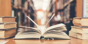 La systématisation en pédagogie