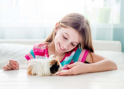 7 animaux de compagnie pour les enfants si vous habitez en ville
