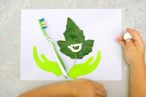 Apprendre à un enfant à se brosser les dents avec la méthode Montessori