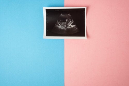 Peut-on connaître le sexe du bébé dès la première échographie?