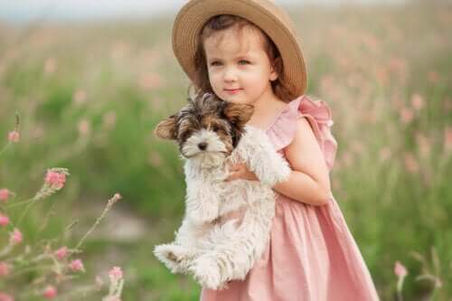 Origine et signification de Rebecca