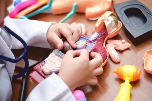 Applications pour en savoir plus sur le corps humain