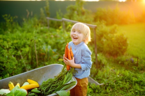 5 bénéfices des légumes pour les enfants