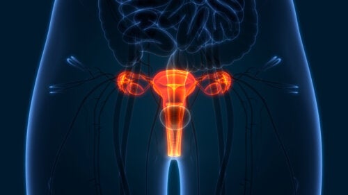Comment faire un examen du col de l'utérus?