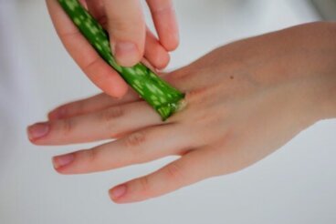 5 bienfaits de l'aloe vera pour les enfants