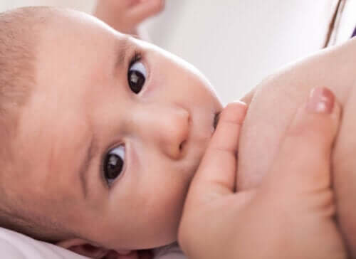 Importance de la nutrition au cours des 1000 premiers jours de vie