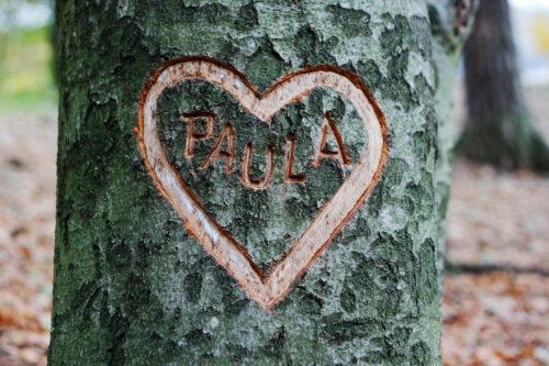 Origine et signification du prénom Paula