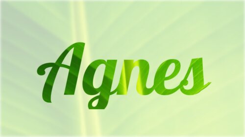 Origine et signification du prénom Agnès