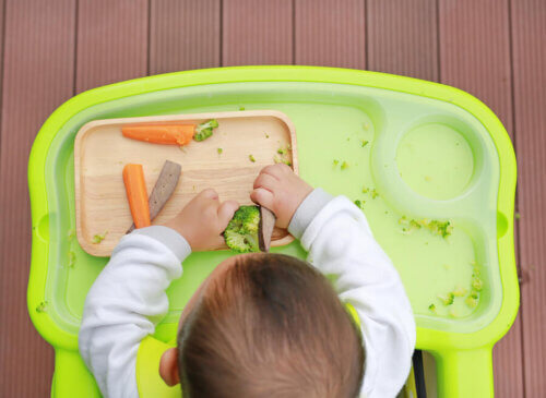 Les aliments non moulus doivent être introduits petit à petit.