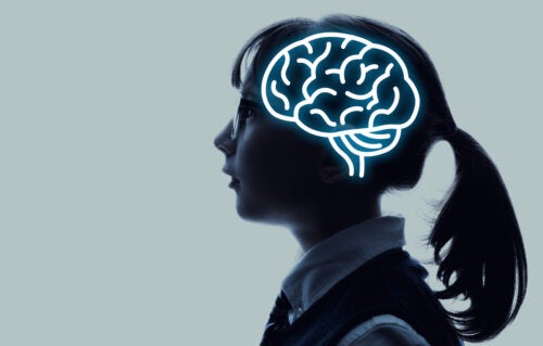 Les neuromythes éducatifs : comment affectent-ils l'apprentissage ?