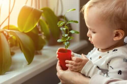 bébé tient un pot avec des germes de plantes concept de l'écologie de la nature de la vie