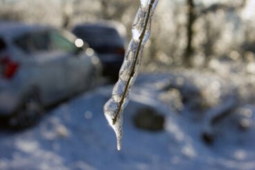États de la matière pour les enfants : comment l'expliquer de manière ludique ?