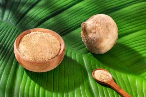 racine et poudre de maca andine ou de ginseng péruvien