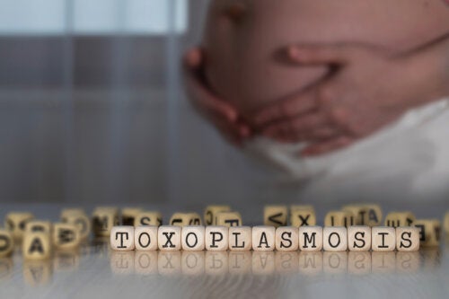 Recommandations pour éviter la toxoplasmose pendant la grossesse