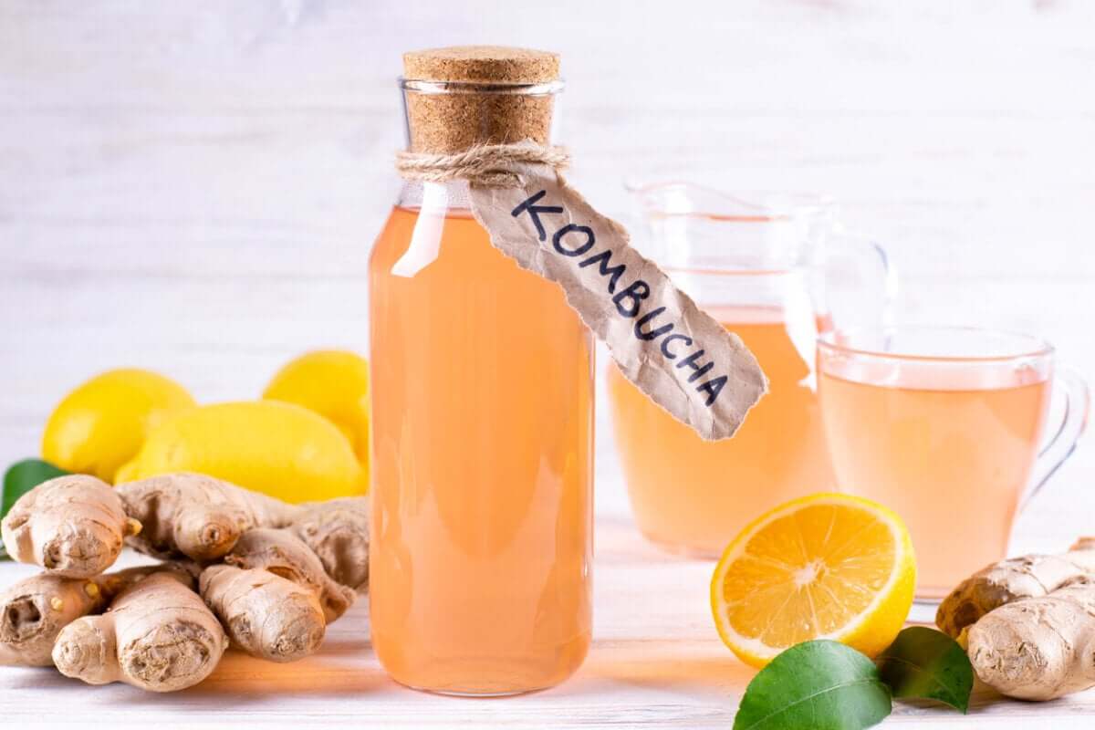 Kombucha : les enfants peuvent-ils boire ce thé ?