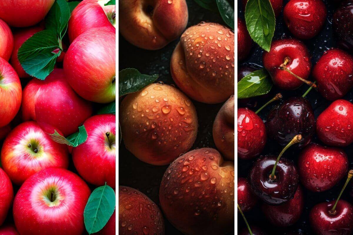 L'allergie aux fruits rouges, un problème courant chez les enfants