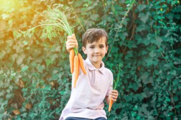 Découvrez les bienfaits des carottes pour les enfants